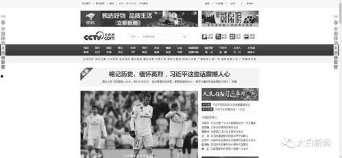 今日重点新闻爆料,今日焦点新闻深度解析  第3张