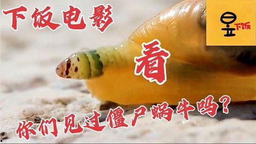 娱乐吃瓜牛片,吃瓜牛片背后的故事  第2张