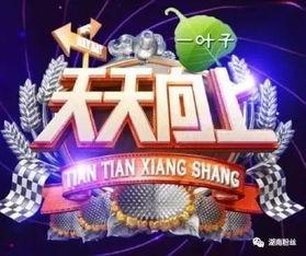 小鱼娱乐爆料王,王爆料背后的故事  第3张