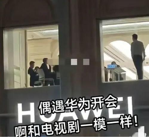 华为爆料女员工是谁啊视频,揭秘事件背后真相  第3张