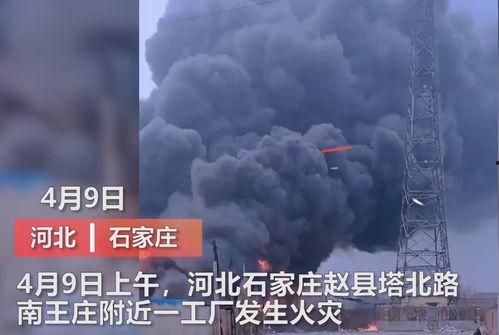 魏县最新事件爆料视频曝光  第1张