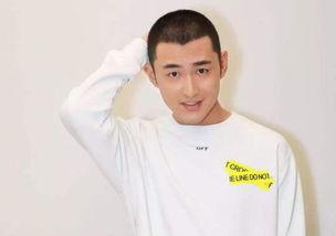 王彦霖爆料娱乐圈内幕,王彦霖曝惊人内幕，行业真相令人震惊  第2张